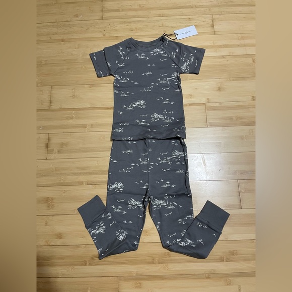 Colored Organics Other - Colored Organics Grass Jammies Set 4T Unisex Girl Boy